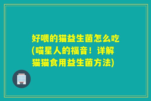 好喂的猫益生菌怎么吃(喵星人的福音！详解猫猫食用益生菌方法)