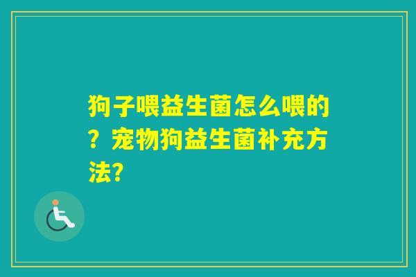 狗子喂益生菌怎么喂的?宠物狗益生菌补充方法? 狗子喂益生菌怎么喂的?宠物狗益生菌补充方法?