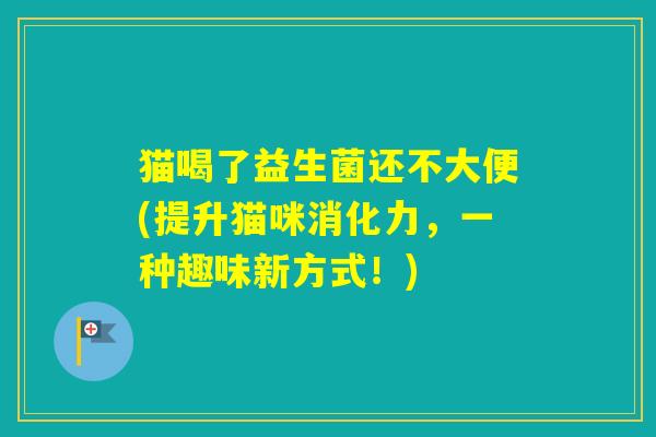 猫喝了益生菌还不大便(提升猫咪消化力，一种趣味新方式！)