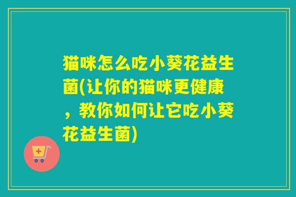 猫咪怎么吃小葵花益生菌(让你的猫咪更健康，教你如何让它吃小葵花益生菌)