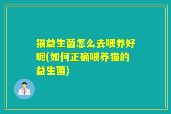 猫益生菌怎么去喂养好呢(如何正确喂养猫的益生菌)