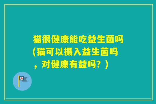 猫很健康能吃益生菌吗(猫可以摄入益生菌吗，对健康有益吗？)