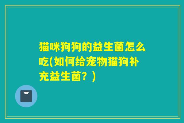 猫咪狗狗的益生菌怎么吃(如何给宠物猫狗补充益生菌？)