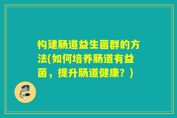 构建肠道益生菌群的方法(如何培养肠道有益菌，提升肠道健康？)