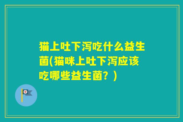 猫上吐下泻吃什么益生菌(猫咪上吐下泻应该吃哪些益生菌？)
