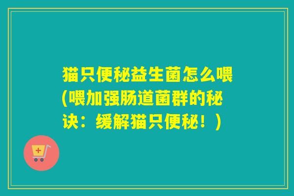 猫只益生菌怎么喂(喂加强肠道菌群的秘诀：缓解猫只！)