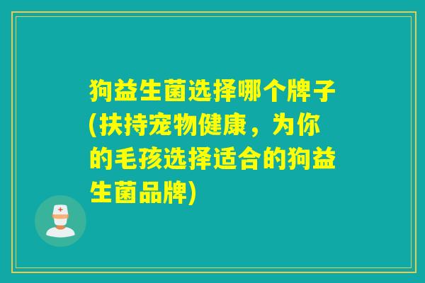 狗益生菌选择哪个牌子(扶持宠物健康，为你的毛孩选择适合的狗益生菌品牌)