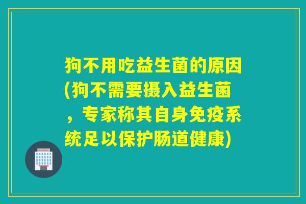 狗不用吃益生菌的原因(狗不需要摄入益生菌，专家称其自身系统足以保护肠道健康)