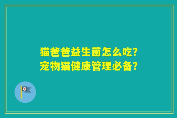 猫爸爸益生菌怎么吃？宠物猫健康管理必备？