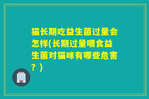 猫长期吃益生菌过量会怎样(长期过量喂食益生菌对猫咪有哪些危害？)