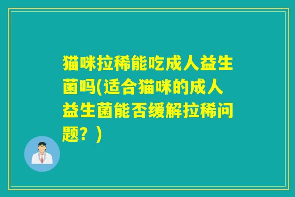 猫咪拉稀能吃成人益生菌吗(适合猫咪的成人益生菌能否缓解拉稀问题？)