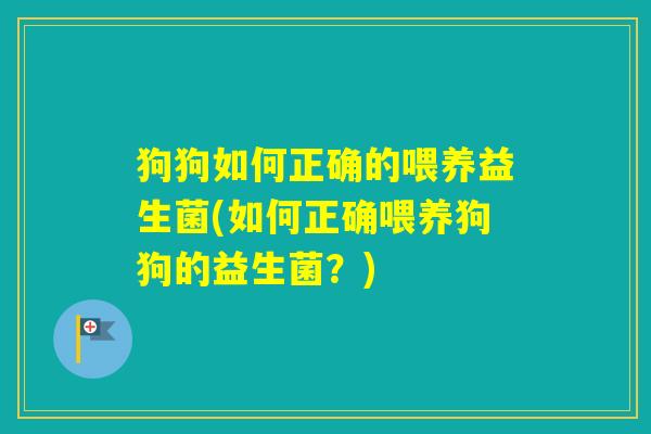 狗狗如何正确的喂养益生菌(如何正确喂养狗狗的益生菌?) 狗狗如何正确的喂养益生菌(如何正确喂养狗狗的益生菌?)