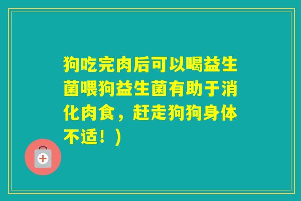 狗吃完肉后可以喝益生菌喂狗益生菌有助于消化肉食，赶走狗狗身体不适！)