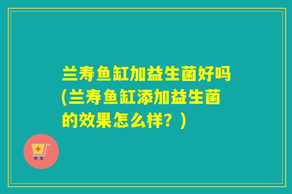 兰寿鱼缸加益生菌好吗(兰寿鱼缸添加益生菌的效果怎么样？)