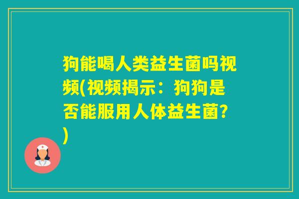 狗能喝人类益生菌吗视频(视频揭示:狗狗是否能服用人体益生菌?) 狗能喝人类益生菌吗视频(视频揭示:狗狗是否能服用人体益生菌?)