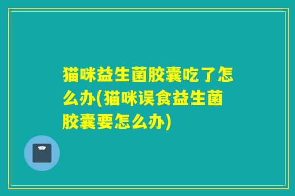 猫咪益生菌胶囊吃了怎么办(猫咪误食益生菌胶囊要怎么办)