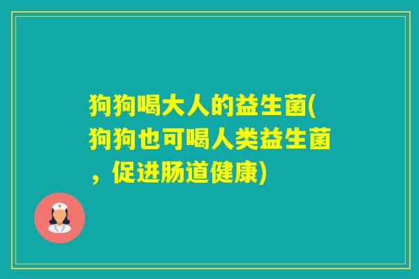 狗狗喝大人的益生菌(狗狗也可喝人类益生菌，促进肠道健康)