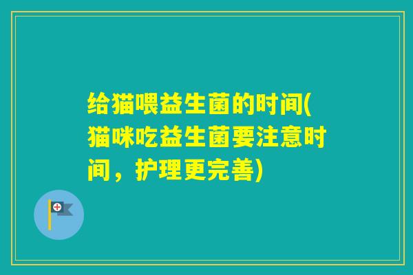 给猫喂益生菌的时间(猫咪吃益生菌要注意时间,护理更完善) 给猫喂益生菌的时间(猫咪吃益生菌要注意时间,护理更完善)