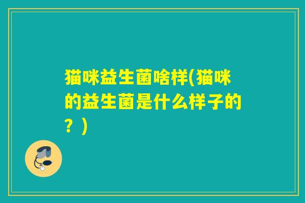 猫咪益生菌啥样(猫咪的益生菌是什么样子的?) 猫咪益生菌啥样(猫咪的益生菌是什么样子的?)