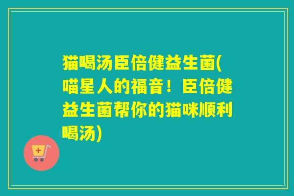 猫喝汤臣倍健益生菌(喵星人的福音！臣倍健益生菌帮你的猫咪顺利喝汤)