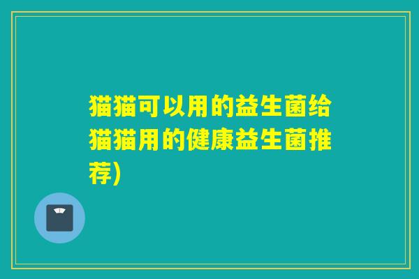 猫猫可以用的益生菌给猫猫用的健康益生菌推荐)