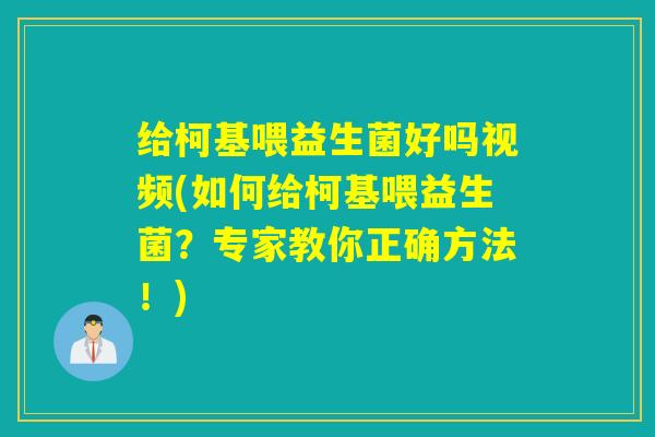 给柯基喂益生菌好吗视频(如何给柯基喂益生菌？专家教你正确方法！)