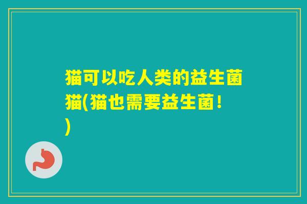 猫可以吃人类的益生菌猫(猫也需要益生菌！)