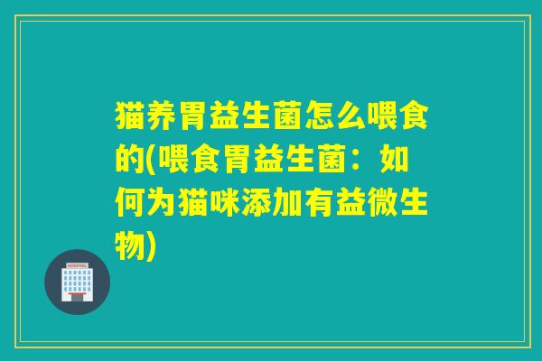 猫养胃益生菌怎么喂食的(喂食胃益生菌：如何为猫咪添加有益微生物)
