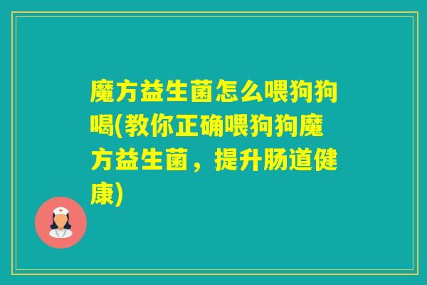 魔方益生菌怎么喂狗狗喝(教你正确喂狗狗魔方益生菌，提升肠道健康)