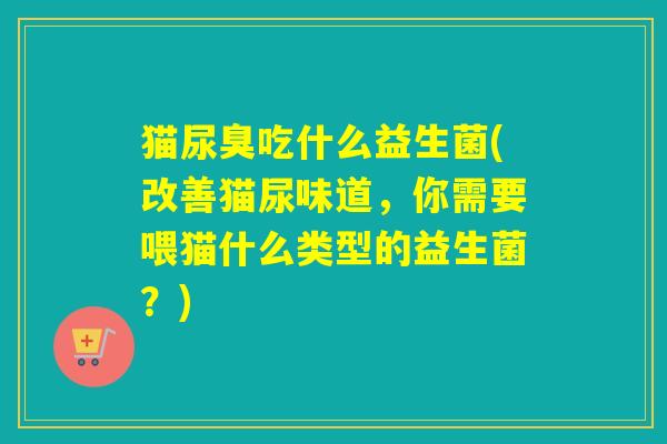 猫尿臭吃什么益生菌(改善猫尿味道，你需要喂猫什么类型的益生菌？)
