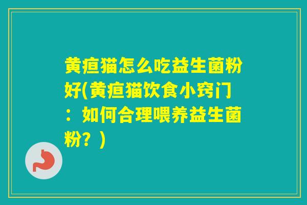 黄疸猫怎么吃益生菌粉好(黄疸猫饮食小窍门：如何合理喂养益生菌粉？)