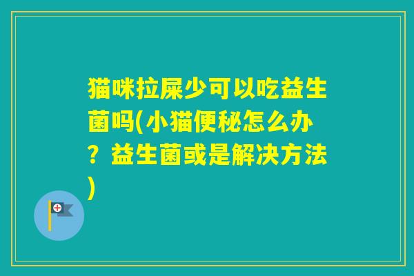 猫咪拉屎少可以吃益生菌吗(小猫怎么办？益生菌或是解决方法)