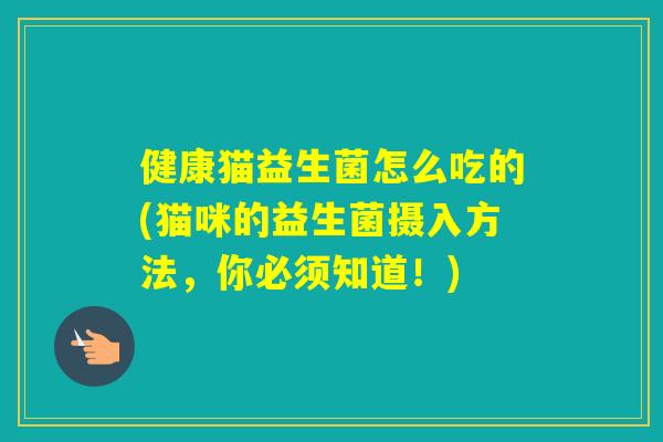 健康猫益生菌怎么吃的(猫咪的益生菌摄入方法，你必须知道！)