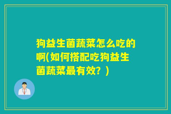 狗益生菌蔬菜怎么吃的啊(如何搭配吃狗益生菌蔬菜有效？)