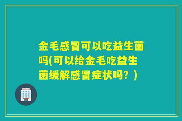 金毛可以吃益生菌吗(可以给金毛吃益生菌缓解症状吗？)