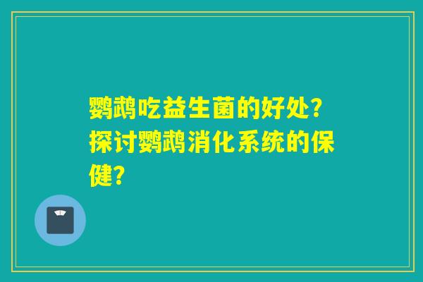 鹦鹉吃益生菌的好处?探讨鹦鹉消化系统的保健? 鹦鹉吃益生菌的好处?探讨鹦鹉消化系统的保健?