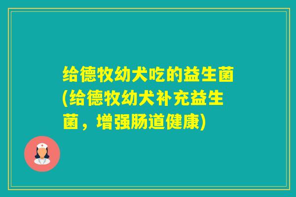 给德牧幼犬吃的益生菌(给德牧幼犬补充益生菌,增强肠道健康) 给德牧幼犬吃的益生菌(给德牧幼犬补充益生菌,增强肠道健康)