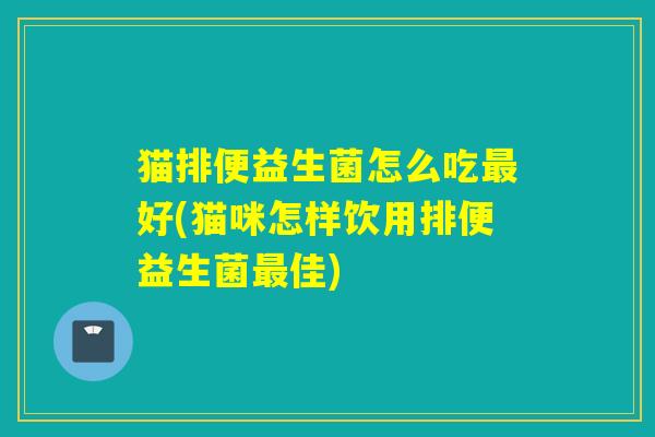 猫排便益生菌怎么吃好(猫咪怎样饮用排便益生菌佳) 猫排便益生菌怎么吃好(猫咪怎样饮用排便益生菌佳)