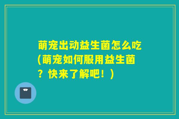 萌宠出动益生菌怎么吃(萌宠如何服用益生菌？快来了解吧！)