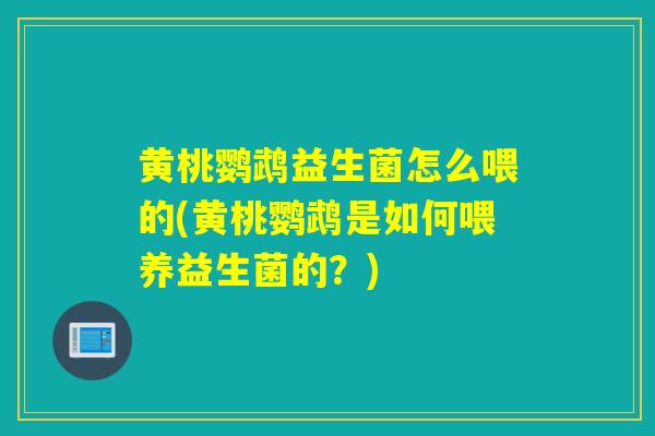 黄桃鹦鹉益生菌怎么喂的(黄桃鹦鹉是如何喂养益生菌的?) 黄桃鹦鹉益生菌怎么喂的(黄桃鹦鹉是如何喂养益生菌的?)