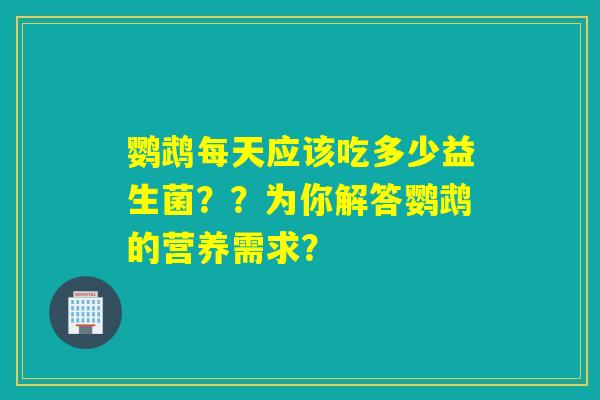 鹦鹉每天应该吃多少益生菌？？为你解答鹦鹉的营养需求？