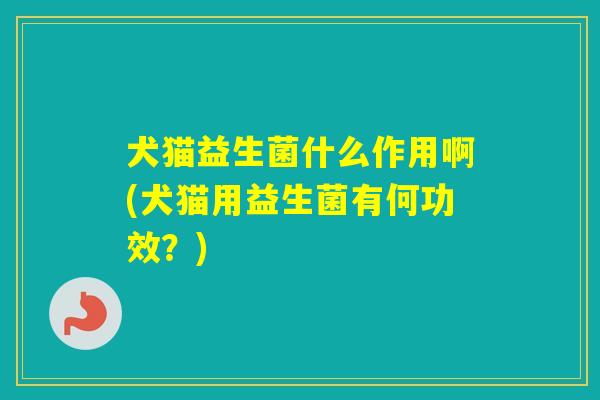 犬猫益生菌什么作用啊(犬猫用益生菌有何功效？)
