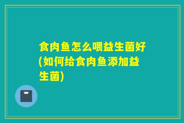 食肉鱼怎么喂益生菌好(如何给食肉鱼添加益生菌)
