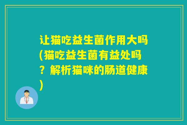 让猫吃益生菌作用大吗(猫吃益生菌有益处吗?解析猫咪的肠道健康) 让猫吃益生菌作用大吗(猫吃益生菌有益处吗?解析猫咪的肠道健康)