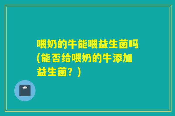 喂奶的牛能喂益生菌吗(能否给喂奶的牛添加益生菌？)