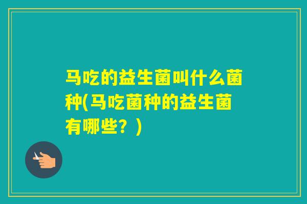 马吃的益生菌叫什么菌种(马吃菌种的益生菌有哪些？)