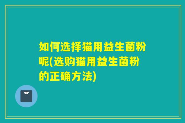 如何选择猫用益生菌粉呢(选购猫用益生菌粉的正确方法)