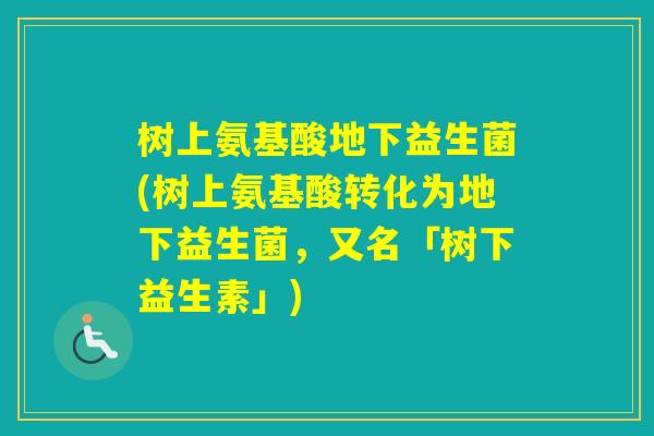 树上氨基酸地下益生菌(树上氨基酸转化为地下益生菌，又名「树下益生素」)