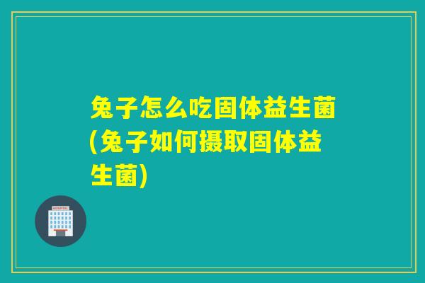 兔子怎么吃固体益生菌(兔子如何摄取固体益生菌)