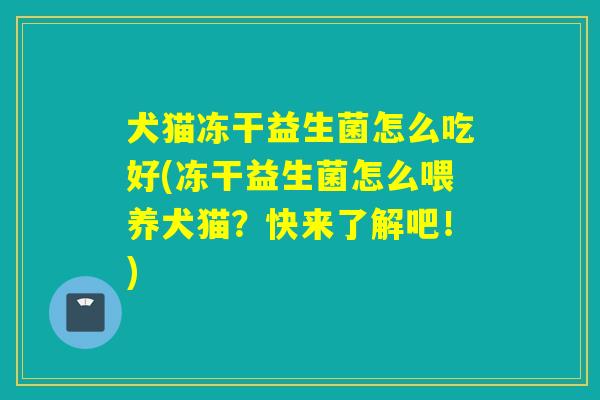 犬猫冻干益生菌怎么吃好(冻干益生菌怎么喂养犬猫？快来了解吧！)